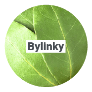 Bylinky