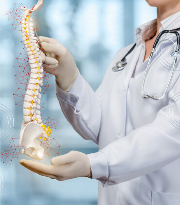 Lekár ukazujúci ľudskú chrbticu postihnutú osteoporózou.